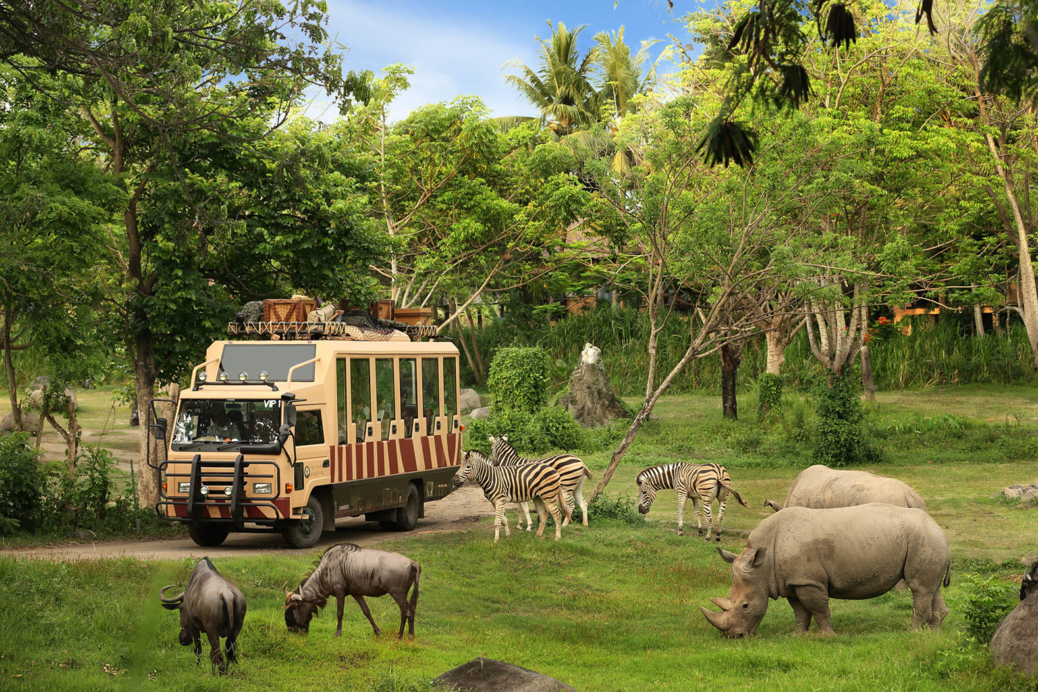 safari tour thailand